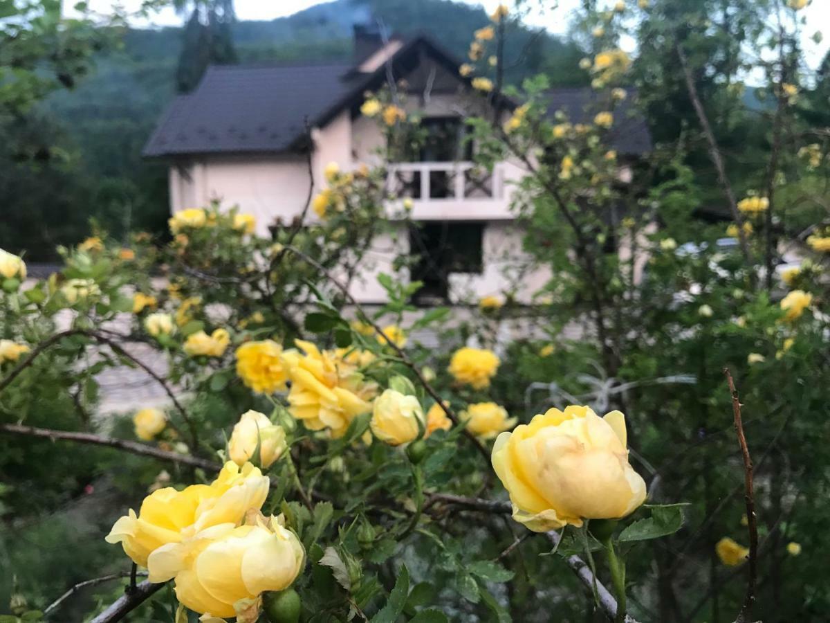 Villa Medova Kossiw Exterior foto